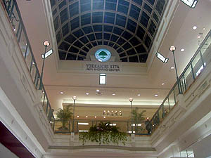 �P�K����݂����������̏�̗l�q