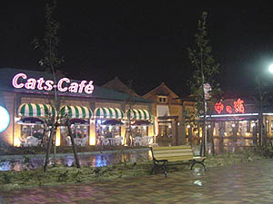 �O�̐ԃ����K���X�g�����ʓ��̂Q��