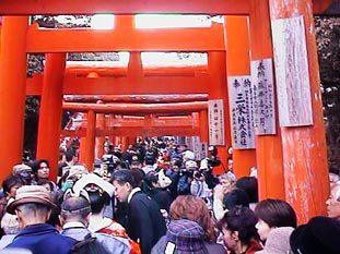 �����֌������ς̉œ�����s�l