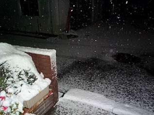 �Q���P�U���A�l���s�s�k���ɂ�