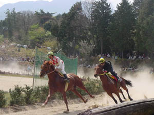 ���������n