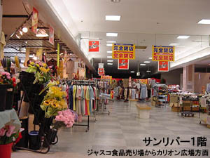 �T�����o�[�P�K