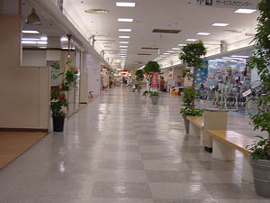 �T�����o�[�Q�K