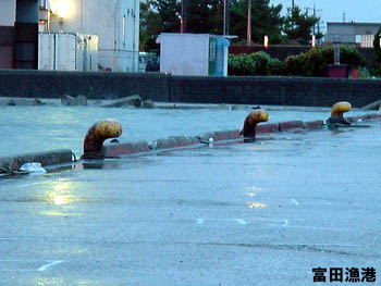 ���ӂꂻ���ȕx�c���`�̏� 8/21 18:30