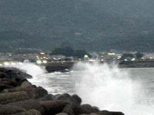 �W���P�X���É����R��K�l