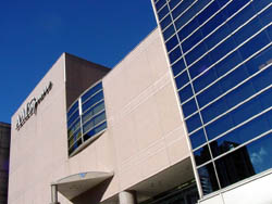 �s���������猩�グ���A���X�N�G�A