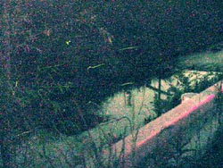 ���n��E�|�J��