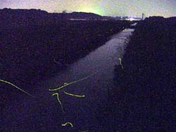 �ہX�n��E������