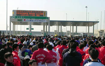 �p�݌K���C���^�[�ɂāB�R���P�O���K���V�e�B�}���\��