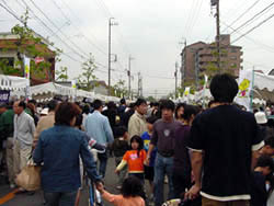 �T���P�O���̗l�q