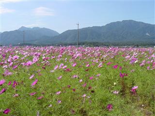 �Ԗ�R�X���X���@�P�O�^�P�V