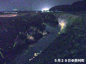 �������E�F����