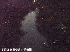 �|�J��E�����w�Z��