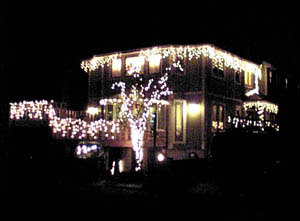 �l���s�s�{�����i�쌴���w�̐��j