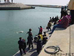 �͌|�ɂ��Ȃ߂肪�o��I�H