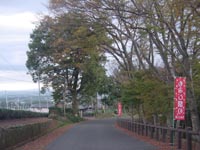 �P�P���X���B�e�E���݂��J