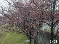 �V�J�{��^�R���Q�W��