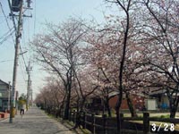 �\�l��^3��28��