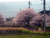 �Ԗ쒬�E���k��