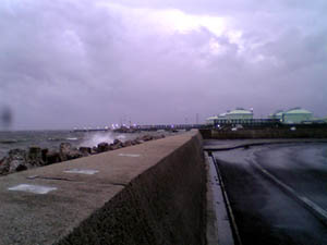 �����Y�u���̐����