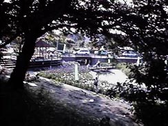 �����؂̂��������ɁE�E�E