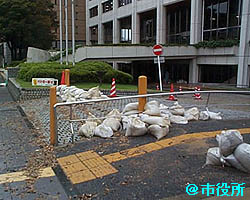 �s�����O�B�������ɒn��������A�y�X��ς�ł������悤�ł���B