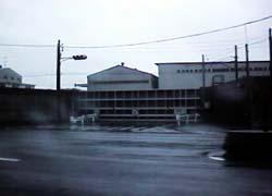 ��h�͕߂���B�V���{��V���B