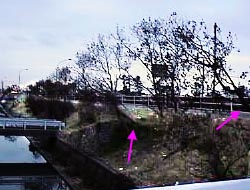 �l���s�s���P�Y�q�Q�R��艈��