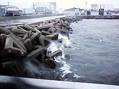 �C�͍r���B�x�c��F���B