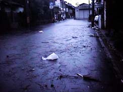 ���̗t���Ƃт܂��