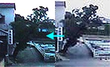 �l���s�s�k��