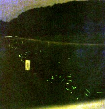 �Q�O�O�O�N�U���Q���A�������ɂ�