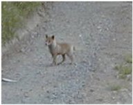 ����͂��ˁH