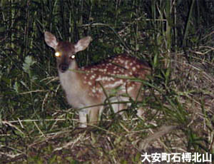 ����͎��I