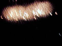 �G���f�B���O�@�f�W�J��