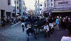 �ǂ���~�̒���ڂ�