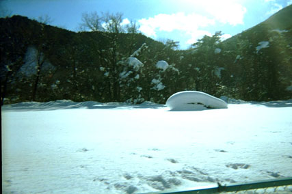 ��ɖ����ꂽ�ԁBin���m�R(1995.12.25?)