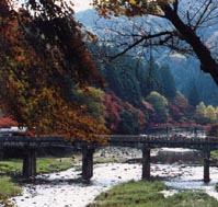 �����k�̗l�q�B�������猩������