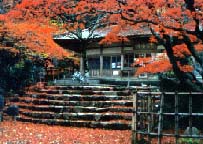 ���󎛂̗l�q�i���ꌔ���j