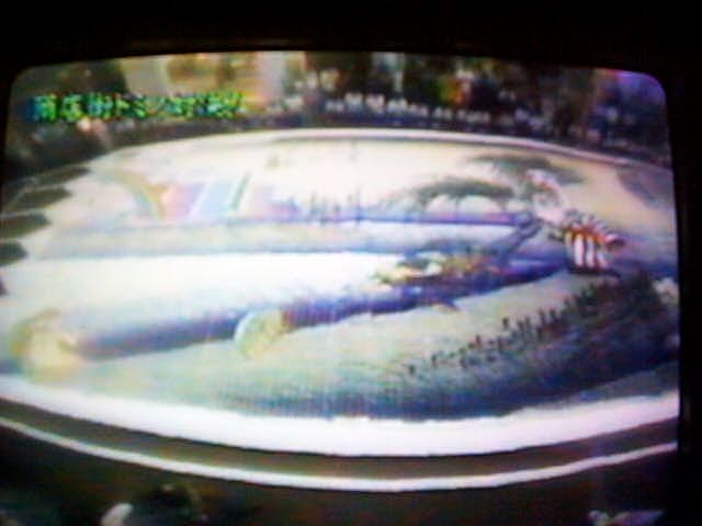 ����G�h�~�m�B�`���w�Z�S���B