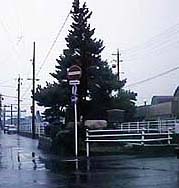 �x�c�̂P���������ɂ����{��
�i�����̂��̂͌͂�Ă��܂����B�ʐ^�̏��́A���̏��̌�̂������ɂ͂������j