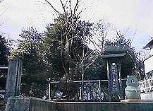 �����Ȃ�