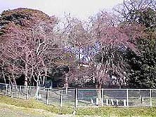 �����Ȃ��������Ă���ꏊ�̓t�F���X�ň͂܂�Ă���