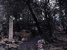 �ɐ���������