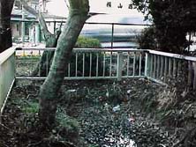 �����r�́A���A����Ȃ�E�E�E