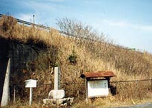 �q�ϔp���B���̏�͓����㎩���ԓ�