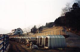 �ӂꂠ���q��i�����铮���͂Ђ��j