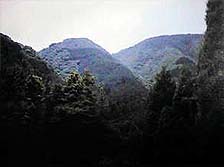 �S�����R�B��Ɍ�����ł��傤�H