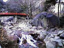 �����ő�̉͐�̊�