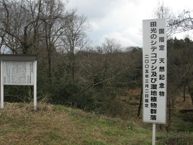 �V�f�R�u�V�i�Ŕ̉��ɔ����Ԃ��|�c�|�c�炢�Ă��܂��j